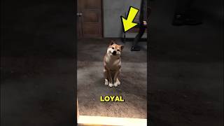 Legendary Dogs With Heartbreaking True Stories
