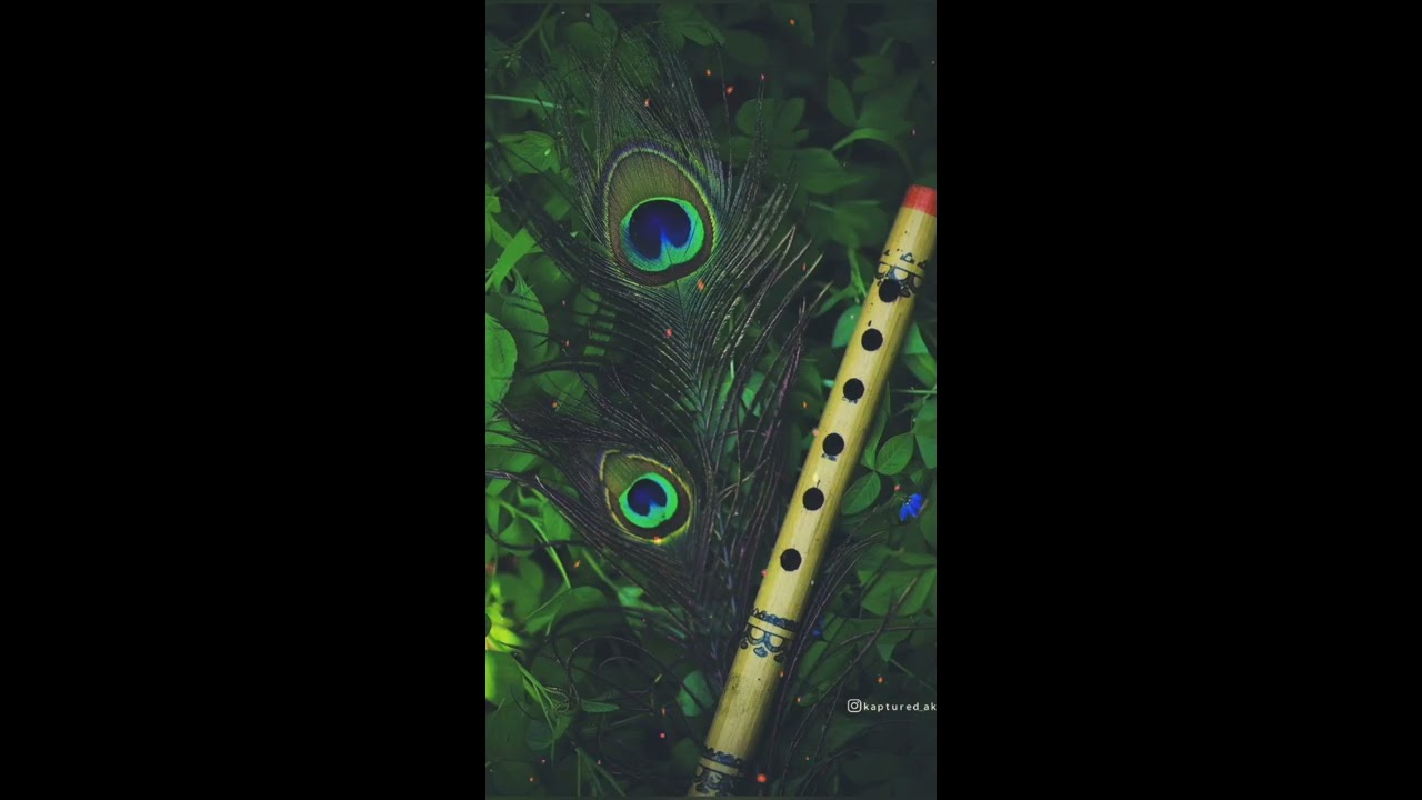 Krishna flute music  WhatsApp status