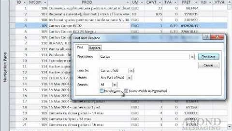 Using Access 2010 - Understanding Find and Replace