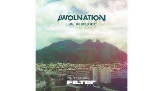 Awolnation - Holy Roller (Live)