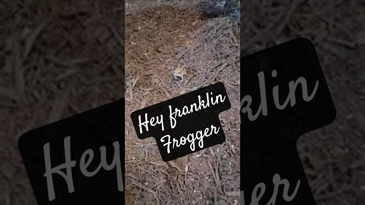 saw a frog