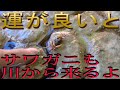 東京からも近い!混浴が最高な群馬の赤城山の【御宿総本家】旅館