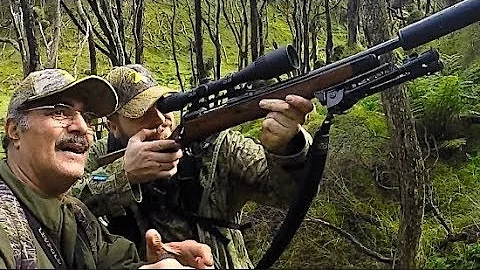 #waikarimoana Hunting two Fallow deer with 22-250 Rem rifle, neck shot in New Zealand # 209