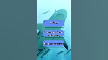 How does a lack of sleep affect cognitive function?