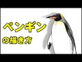 【動物の描き方】かんたん！ペンギンの絵の書き方-初心者でも簡単なイラストのコツ
