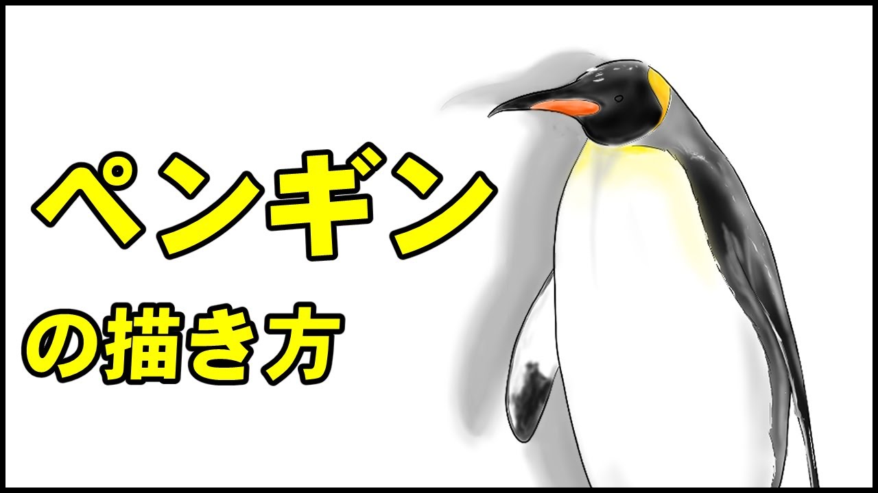 動物の描き方 かんたん ペンギンの絵の書き方 初心者でも簡単なイラストのコツ Youtube