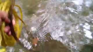 Third Magnet Fishing Round at Horseshoe Creek Third Magnet Fishing Round at Horseshoe Creek