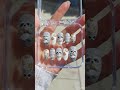 Kawaii 3D Raccoon Press On Nails #nails #nailart #nailinspo #pressonnails #beauty