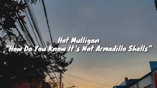 Video thumbnail of "Hot Mulligan - How Do You Know It's Not Armadillo Shells" (Lyrics)"