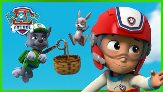 Tlapky zachraňují klokana - Tlapková Patrola PAW Patrol - pohádky pro děti