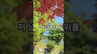 나는 천개의 바람  #정동원