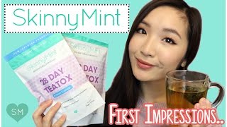My First Impressions of SkinnyMint! | Lifestyle | lifeofjodes