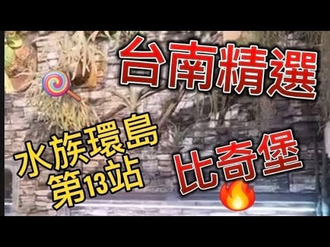 水族環島第13站 優質的水族館 比奇堡 每隻魚都肥肥的胖胖 造景超強
