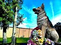 Memorial Day 2023 Observances - Jacksonville Pet Funeral Home and Memorial Garden