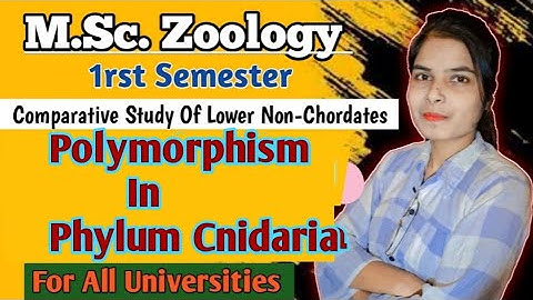 M.Sc. 1rst Semester Zoology || Polymorphism In Coelenterata || All Universities @BrainfullStudy