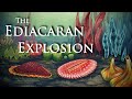 Lexplosion dediacaran ft cambrianscience