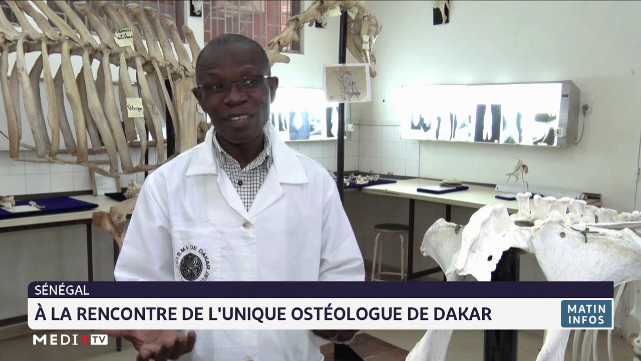 rencontre senegalaise dakar