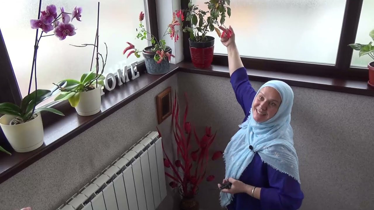 Od hobija do biznisa: Cvijeće kao lijek