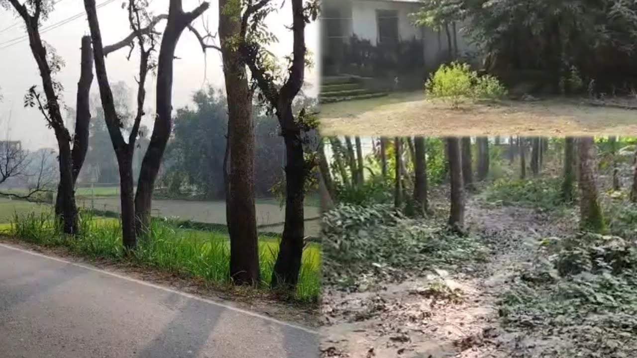 শহরের ইটপাথর থেকে দূরে এক টুকরো শান্তি। ফিরে গেলাম সেই চিরচেনা জায়গায়।। আজ দিনটা একটু অন্যরকম কাটলো।