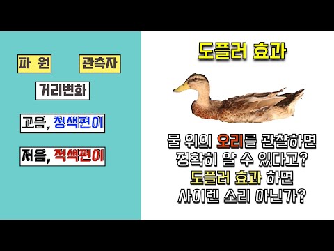 [물리학] 도플러 효과 || 공식 유도, 적용 사례, 오리만 봐도 알 수 있다.