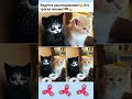 #Приколы #пранки #розыгрыши #шутки #анекдоты #смешныевидео #приколывидео #ржачныевидео #юмор #шутки