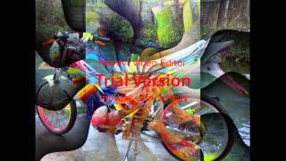 Riau dj kandis 81