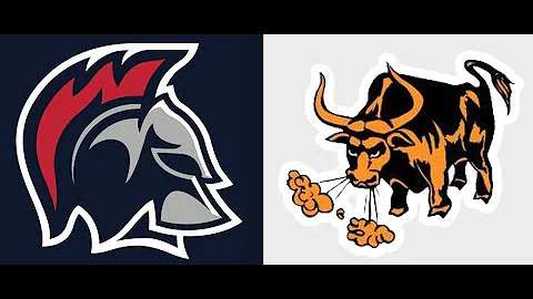 Brookline vs. Woburn Girls' Soccer (MIAA State Tou...