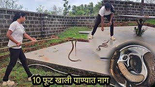 A Snake Fell Into A 10 Feet Empty Tube. Big Banana Or Poisonous Snake Rescue.