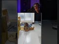 Funny cats fighting