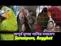 এত কম দামে আশ্চর্য সুন্দর সব পাখি, বাচ্চাসহ শ্রীরামপুর রবিবারের হাটে, চলে আসুন