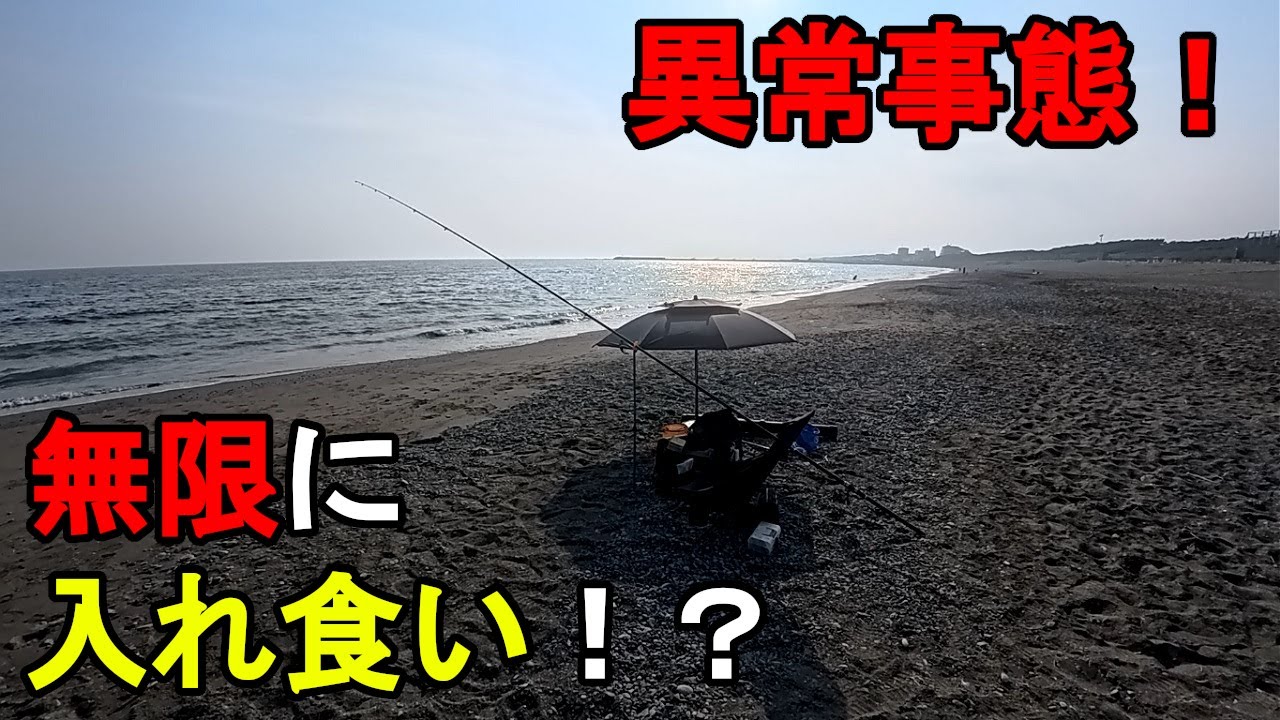 【神奈川県某所】真夏の海で異常事態発生！特大高級魚が無限に入れ食い！？お盆休み明けの残暑が厳しい時期に、関東地方にある相模湾の砂浜（サーフ）エリアの釣り場で釣りしてみたら…！【2025年8月下旬】