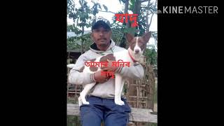 মনৰ ধমল