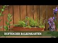 Duftender Balkonkasten: Winterharte Stauden, die zuverlässig blühen
