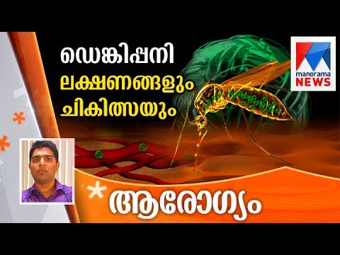 ഡെങ്കിപ്പനി ലക്ഷണങ്ങളും ചികിത്സയും | മനോരമ ന്യൂസ്