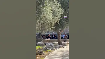 Record Settler Prayers At Al Aqsa Spark Outrage Over Israeli Violations 