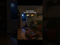 Why do cats get zoomies at 3am? #cat #funnycat #catlover #fyp