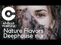 Nature flavorslofi deephouse music mix enjoy lifefresh music