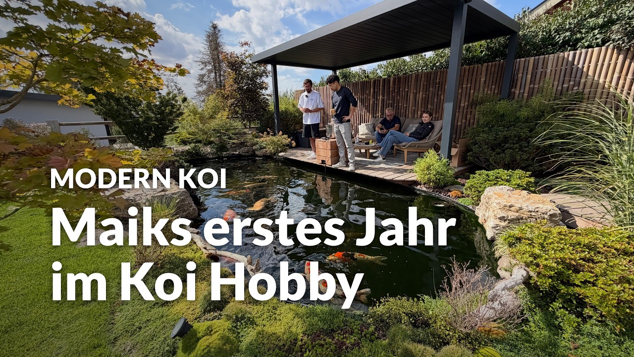 Mit Makoto an Maiks 1 Jahr altem Koiteich | Modern Koi Blog #8341