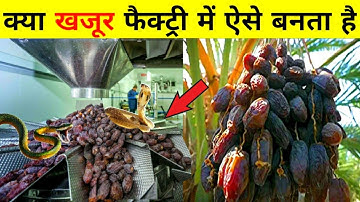 फैक्ट्री में खजूर कैसे बनातें हैं | See how dates made in the factory