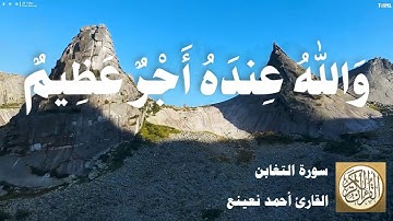 064 أحمد نعينع - سورة التغابن