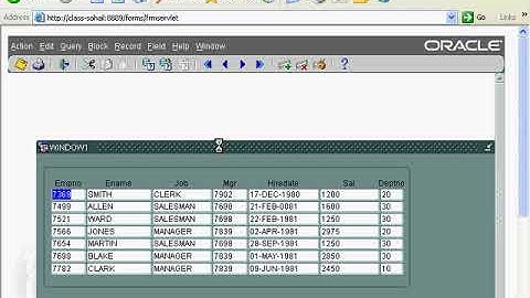 Oracle Forms Class Session 17