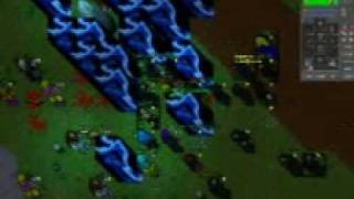 openbattle tibia rulez