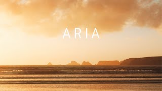 Aria