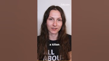 Why Two Kittens Are Better Than One #shorts #adoptacat #catcare  #understandingcats