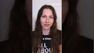 Why Two Kittens Are Better Than One #shorts #adoptacat #catcare  #understandingcats