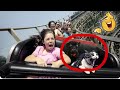 जानवरो के ऐसे कारनामे देख कर हँसते-हँसते😂 पेट पकड़ लोगे | Animal Funniest Moments Caught On Camera