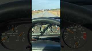 IMG 0929