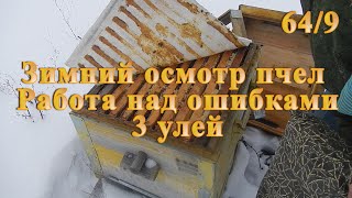 Зимний осмотр пчел  Работа над ошибками 3 улей