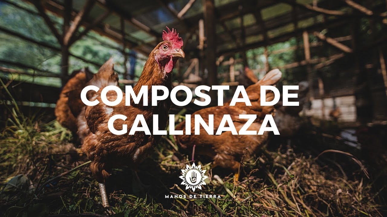 Como Hacer Composta Con Estiércol Animal/ abono orgánico