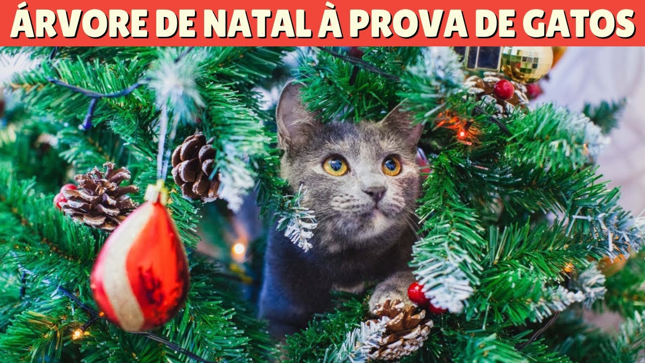 Descubra o Segredo para ter Gatos e Árvore de Natal em Casa sem ...